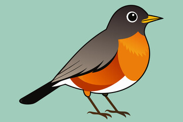 Robin  vector art and illustration