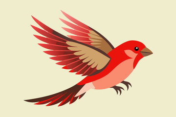 Finch Bird vector art and illustration