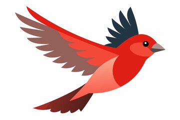 Finch Bird vector art and illustration