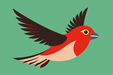 Finch Bird vector art and illustration