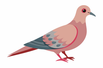 Dove vector art and illustration