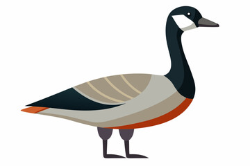  Goose vector art  and illustration