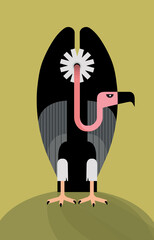 Vulture