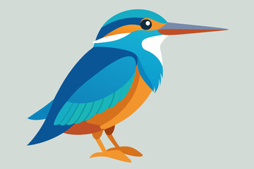  kingfisher vector art and illustration