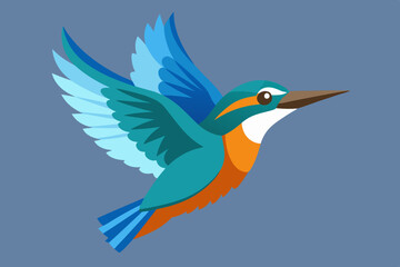 kingfisher  vector art and illustration