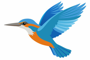 kingfisher  vector art and illustration