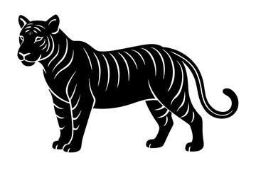 Tiger vector art  and illustration