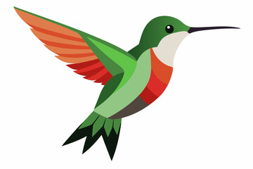 Humming bird vector art and illustration