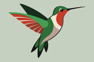 Humming bird vector art and illustration
