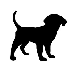 dog silhouette illustration