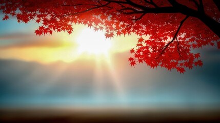 A vibrant scene of a red maple tree with sunlight illuminating the landscape, creating a serene autumn atmosphere.