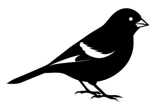 recommend clip art: Goldfinch Bird vector art and illustration