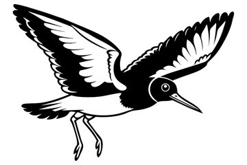 American Oystercatcher bird vector art and illustration