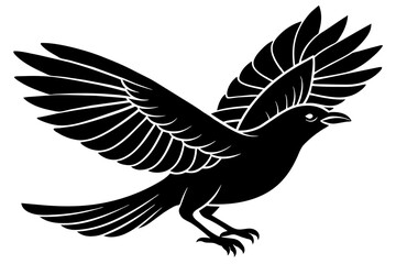 Flying  crow vector art and illustration