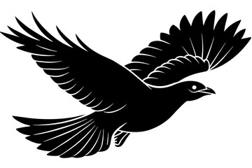 Flying  crow vector art and illustration