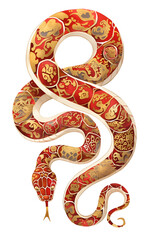 Obraz premium Chinese New Year 2025 Zodiac Snake. Chinese traditional art drawing of red snake with gold ornament on skin