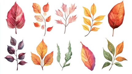 Obraz premium Hand painted watercolor leaves element converted into a digital format