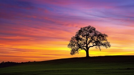 Obraz premium Silhouette of a Tree Against a Vibrant Sunset Sky