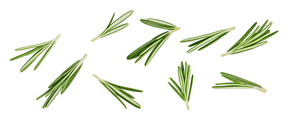 Falling rosemary leaves isolated on white background