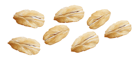 Falling oat flakes  isolated on white background
