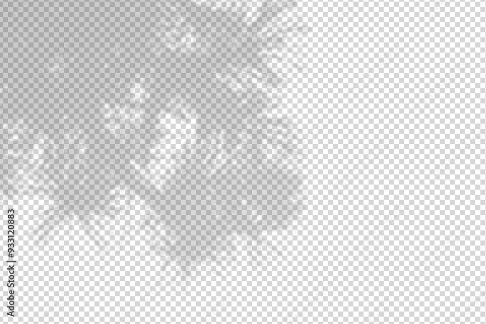 Wall mural shadow overlay from a pine tree branch isolated on a transparent background.