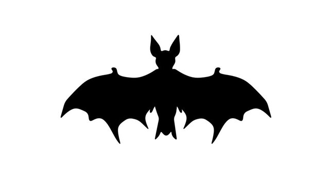 A single Halloween bat animated against a white background. Seamless loop animation
