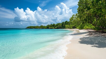 Fototapeta premium Scenery with turquoise water and white beach