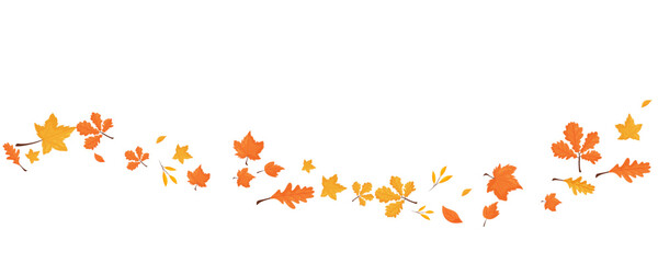 Wave of falling leaves. Leaf fall. Autumn falling leaves on a transparent background.
