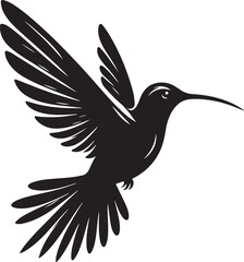 Hummingbird Silhouette and Illustration