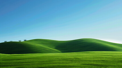 Obraz premium field in nature