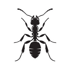 Ant silhouette vector art illustration