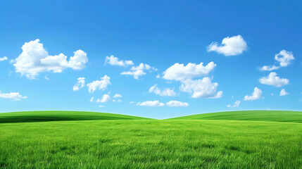 Obraz premium field nature