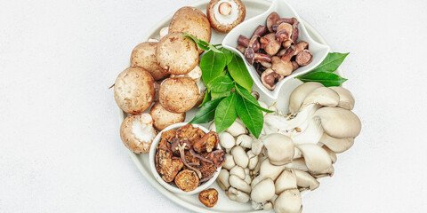 Assortment of various mushrooms - fresh, dried and pickled. Oyster, cremini, porcini and shiitake