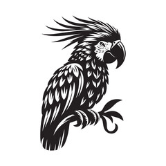 Parrot silhouette vector art illustration