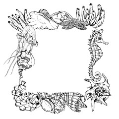 Marine life, sea ocean underwater creatures fish, shells algae seaweed, Ink and pen sketch hand drawn. Border frame illustration, stylized, isolated on white. For zoo shop, aquarium, cosmetics, resort