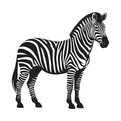 Zebra silhouette vector illustration