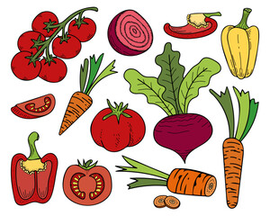 Set vegetables from garden hand drawn flat. Fresh fruits, roots, berries, leaves for eating. Farm grown products. Onions, zucchini, cabbage, carrots. Vector doodle illustration.