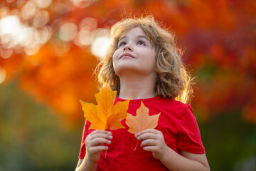 Adorable kid playing with fallen leaves in autumn park.