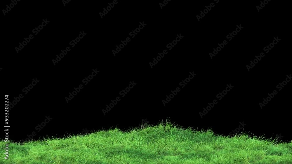 Wall mural grass wind noise loop on alpha channel. element footage place on footage or background and easier to