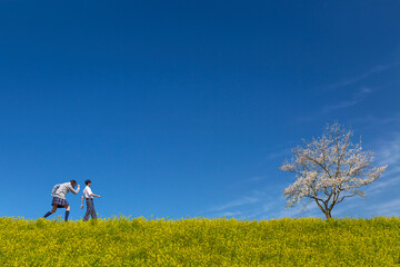 菜の花と桜の咲く土手を歩く男女の高校生。春、入学,卒業,進学,前進イメージ