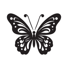 butterfly on white background