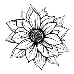 black and white flower
