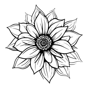 black and white flower
