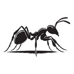set of ants