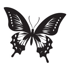 butterfly illustration