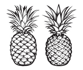 Obraz premium set of pineapple fruit silhouette line art vector
