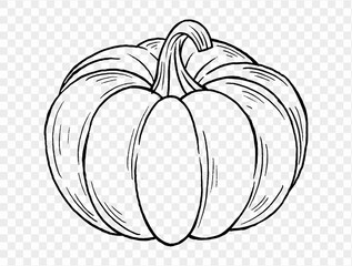 Outline pumpkin hand draw with brush style isolated on png or transparent texture,Halloween party background ,element template for poster, brochures, online advertising, vector illustration 