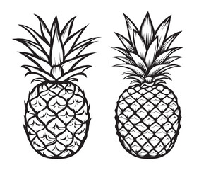 Obraz premium set of pineapple fruit silhouette line art vector