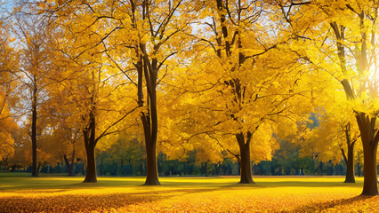 Naklejka premium A captivating autumn landscape featuring yellow trees and sunlight.