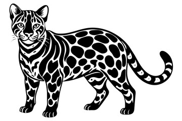 Ocelot vector art and illustration